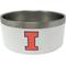 Show in main carousel: ShopInstaPets NCAA Stainless Steel Dog Bowl, 32-oz, Illinois Fighting Illini  slide 1 of 4
