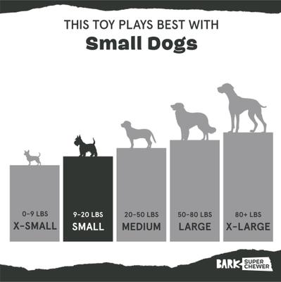 Show full view: BARK Trixel Vanilla Scented Dog Chew Toy, Small slide 5 of 8