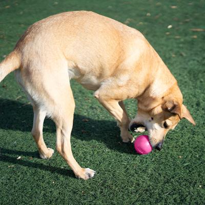 Show full view: Outward Hound Squeak Ball Dog Toy, Pink slide 7 of 11