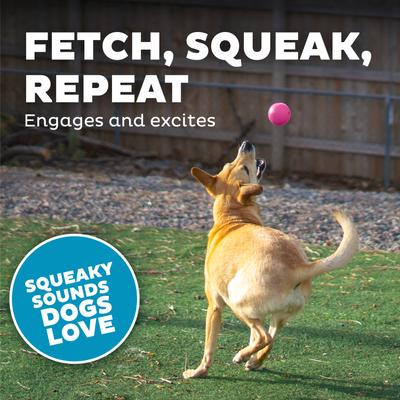 Show full view: Outward Hound Squeak Ball Dog Toy, Pink slide 5 of 11