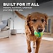 Show in main carousel: Petstages Grunt N Punt Squeaky Tennis Ball Dog Toy, Yellow & Green slide 5 of 10