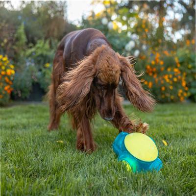 Show full view: Outward Hound Tennis Maze Craze Dog Toy slide 7 of 9