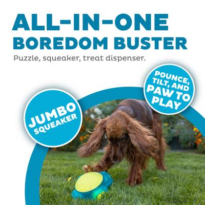 Show full view: Outward Hound Tennis Maze Craze Dog Toy slide 2 of 9