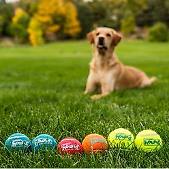 Outward Hound Squeaker Balls Medium Dog Toys, 6 count slide 2 of 6