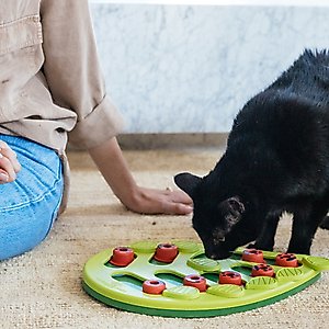 Nina Ottosson by Outward Hound Buggin' Out Puzzle & Play Cat Toy