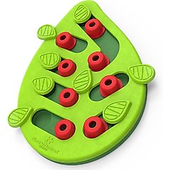 Nina Ottosson by Outward Hound Buggin' Out Puzzle & Play Cat Toy