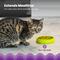 Show in main carousel: Catstages Kitty Slow Feeder, Green, 0.75 cup slide 3 of 11