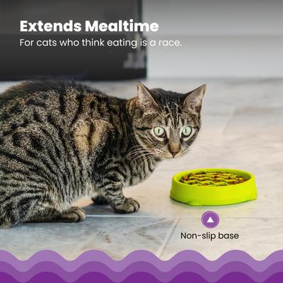 Show full view: Catstages Kitty Slow Feeder, Green, 0.75 cup slide 3 of 11