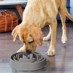 Outward Hound Fun Feeder Drop Dog Bowl, Grey, 4 cup slide 2 of 7