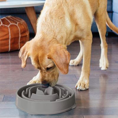 Show full view: Outward Hound Fun Feeder Drop Dog Bowl, Grey, 4 cup slide 6 of 9