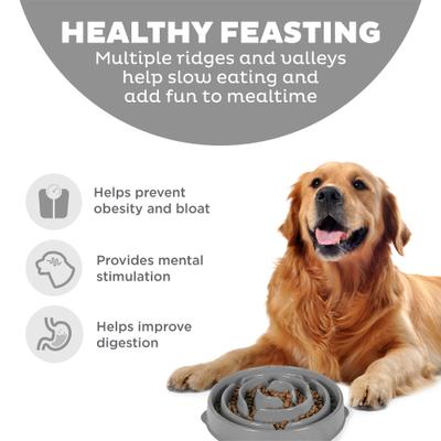 Show full view: Outward Hound Fun Feeder Drop Dog Bowl, Grey, 4 cup slide 2 of 9