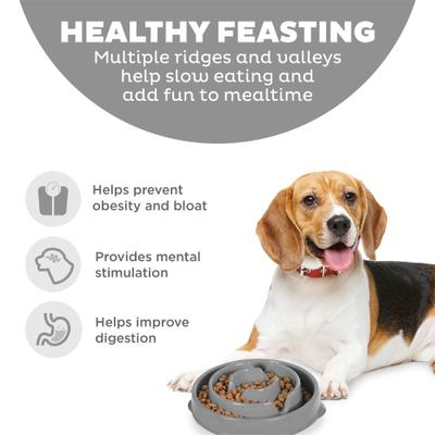 Show full view: Outward Hound Fun Feeder Drop Dog Bowl, Grey, 2 cup slide 2 of 9