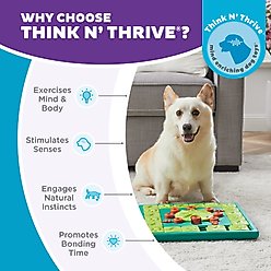 Nina Ottosson by Outward Hound Multipuzzle Dog Toy, Green & Blue slide 2 of 8