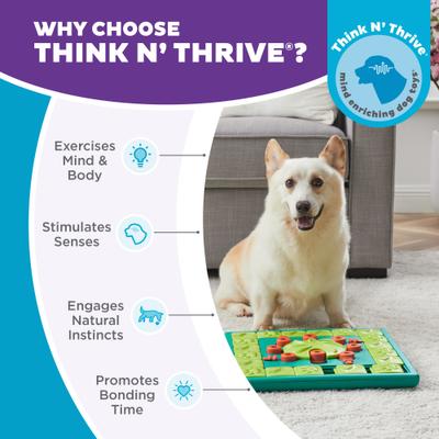 Show full view: Nina Ottosson by Outward Hound Multipuzzle Dog Toy, Green & Blue slide 7 of 12