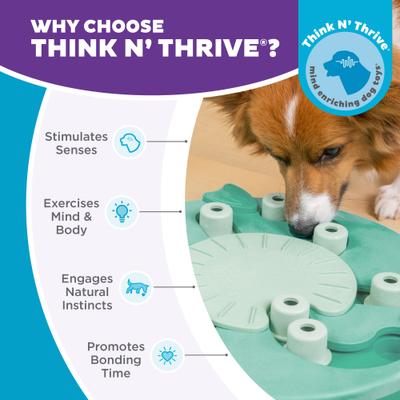 Show full view: Nina Ottosson by Outward Hound Dog Worker Green Interactive Treat Puzzle Dog Toy slide 7 of 11