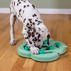 Nina Ottosson by Outward Hound Dog Hide N Slide Dog Toy, Green slide 2 of 8