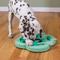 Show in main carousel: Nina Ottosson by Outward Hound Puppy Hide N Slide Treat Puzzle Enrichment Dog Toy, Green slide 8 of 11