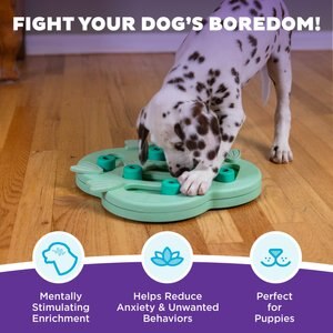 Nina Ottosson by Outward Hound Puppy Hide N Slide Treat Puzzle Enrichment Dog Toy, Green