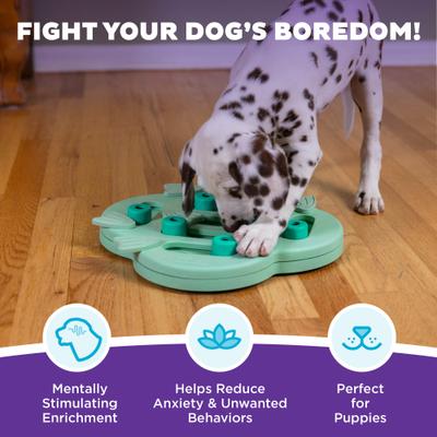 Show full view: Nina Ottosson by Outward Hound Puppy Hide N Slide Treat Puzzle Enrichment Dog Toy, Green slide 2 of 11