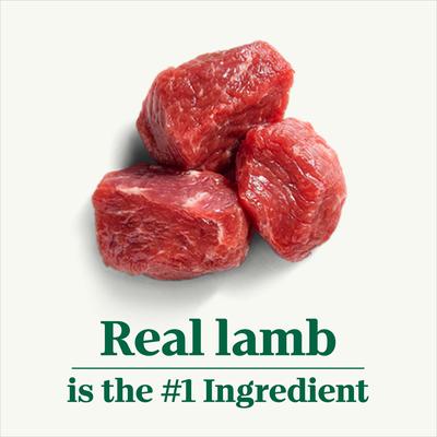 Show full view: Nutro Grain-Free Savory Lamb & Vegetables Stew Cuts in Gravy Adult Wet Dog Food, 3.5-oz, case of 24 slide 4 of 11