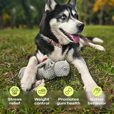 Show full view: PetSpy Rope Donkey Octopus & Crinkle Duck Squeaky Plush Dog Chew Toy, Grey/Blue/Yellow, 3 count slide 3 of 6