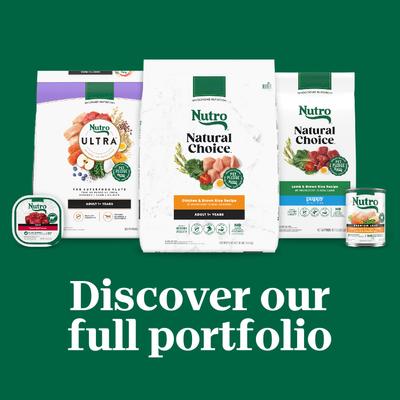 Show full view: Nutro Grain-Free Roasted Turkey, Potato & Pea Stew Cuts in Gravy Adult Wet Dog Food, 3.5-oz, case of 24 slide 10 of 11