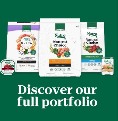 Show full view: Nutro Grain-Free Simmered Beef & Potato Stew Cuts in Gravy Adult Wet Dog Food Trays, 3.5-oz, case of 24 slide 10 of 11