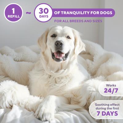 Show full view: Beloved Pets Calming Kit for Dogs & Puppy Diffuser, 1.5-oz bottle slide 4 of 8