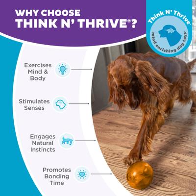 Show full view: Outward Hound Orbee-Tuff Mazee Interactive Treat Dispensing Puzzle Dog Toy, Orange slide 7 of 14