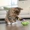 Show in main carousel: Catstages Crunchy Pickle Kicker Cat Plush Toy with Catnip, Green slide 9 of 12