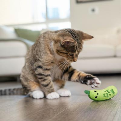Show full view: Catstages Crunchy Pickle Kicker Cat Plush Toy with Catnip, Green slide 9 of 12