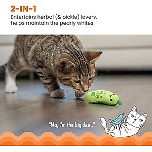 Catstages Crunchy Pickle Kicker Plush Cat Toy with Catnip