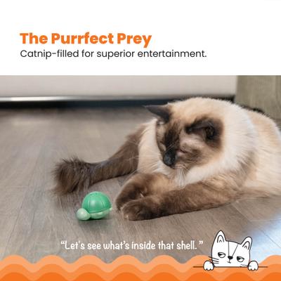 Show full view: Catstages Wobble Turtle Catnip Diffuser Cat Toy slide 2 of 10