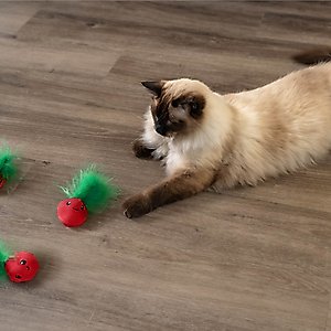 Catstages Straw-Babies Catnip Dental Cat Toy, 3 count