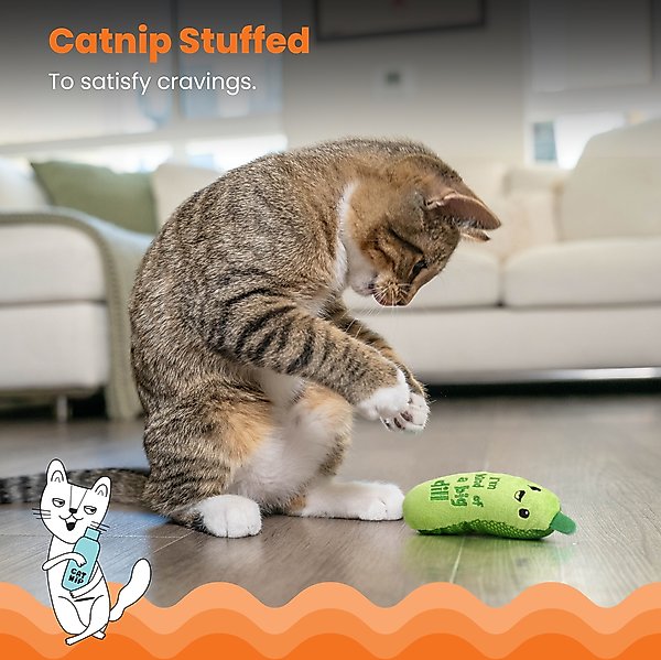 Show full view: Catstages Crunchy Pickle Kicker Plush Cat Toy with Catnip slide 3 of 11