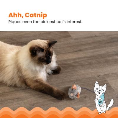 Show full view: Catstages Squeak Squeak Mouse Cat Toy slide 4 of 11