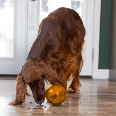 Show full view: Outward Hound Orbee-Tuff Mazee Interactive Treat Dispensing Puzzle Dog Toy, Orange slide 8 of 14