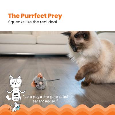 Show full view: Catstages Squeak Squeak Mouse Cat Toy slide 2 of 11