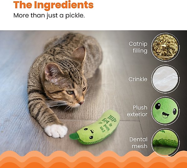 Show full view: Catstages Crunchy Pickle Kicker Plush Cat Toy with Catnip slide 4 of 11