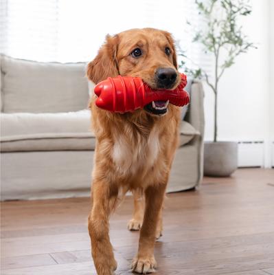 Show full view: Petstages Grunt Fetch Bunny Stick Dog Chew Toy, Red slide 6 of 10