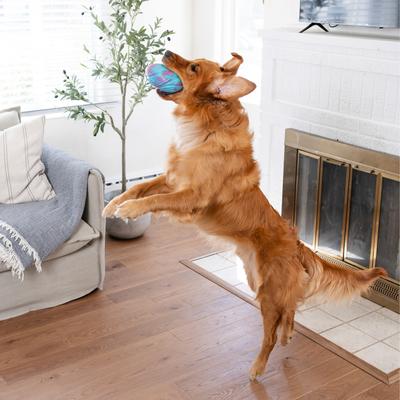 Show full view: Outward Hound Grunt N Punt Football Dog Toy, Blue & Pink slide 6 of 10