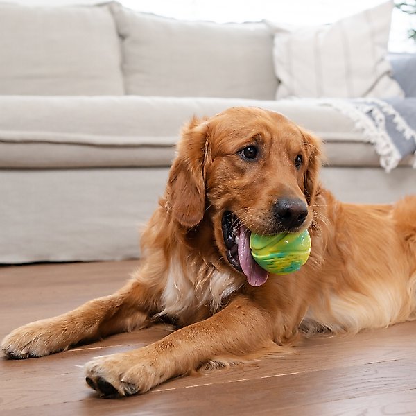 Show full view: Petstages Grunt N Punt Squeaky Tennis Ball Dog Toy, Yellow & Green slide 6 of 10
