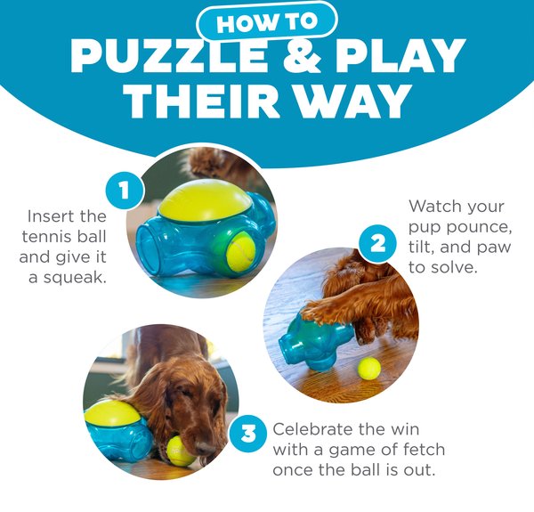 Outward Hound Tennis Maze Craze Dog Toy