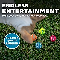 Outward Hound Squeaker Balls X-Small Dog Toys, 8 count slide 2 of 6