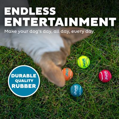 Show full view: Outward Hound Squeaker Balls X-Small Dog Toys, 8 count slide 4 of 8