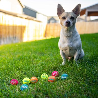 Show full view: Outward Hound Squeaker Balls X-Small Dog Toys, 8 count slide 5 of 8
