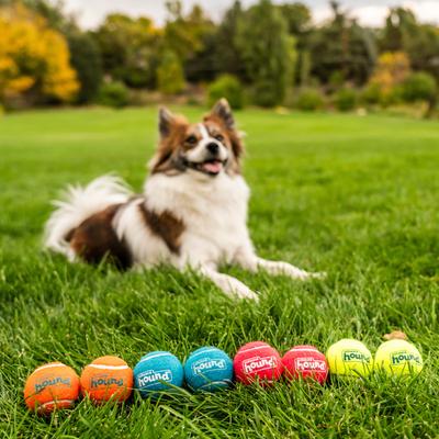 Show full view: Outward Hound Squeaker Balls Small Dog Toys, 6 count slide 5 of 9