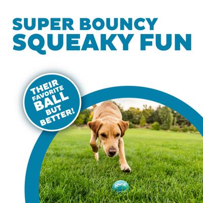 Show full view: Outward Hound Squeaker Balls Medium Dog Toys, 6 count slide 2 of 8