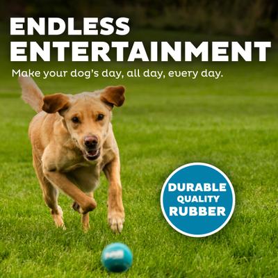 Show full view: Outward Hound Squeaker Balls Medium Dog Toys, 6 count slide 4 of 8