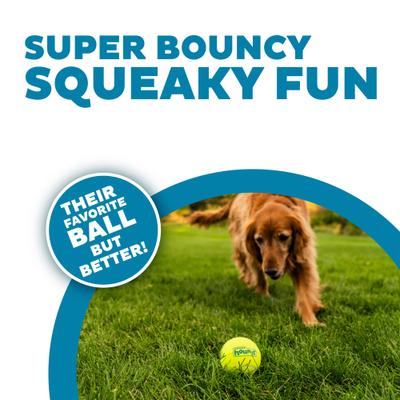 Show full view: Outward Hound Squeaker Balls Large Dog Toys, 4 count slide 2 of 9